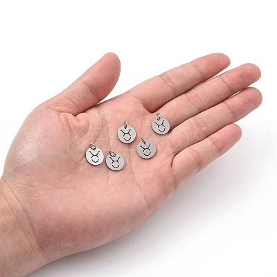 Non-Tarnish 304 Stainless Steel Charms STAS-Q201-T445-2S-1