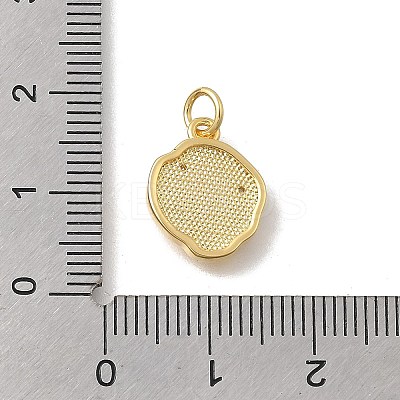 Brass Micro Pave Cubic Zirconia Charms KK-D431-047G-02-1