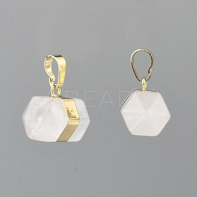 Natural Quartz Crystal Double Terminated Pointed Pendants G-P049-05G-1