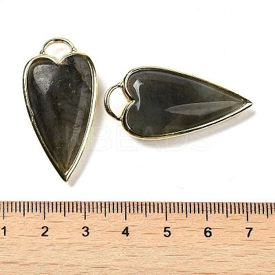 Natural Labradorite Pendants G-K347-01G-04-1