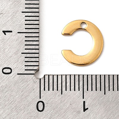 304 Stainless Steel Charms LS-STAS-B093-12G-C-1