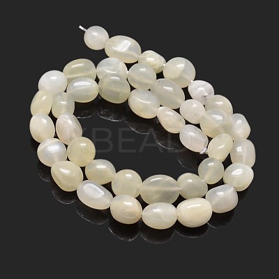 Nuggets Natural White Moonstone Beads Strands G-J336-11-1