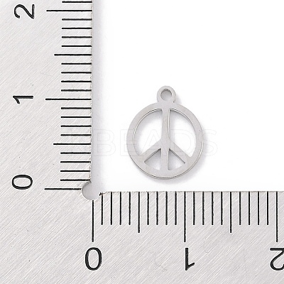 Non-Tarnish 304 Stainless Steel Charms LS-STAS-K286-01B-P-1