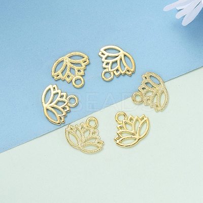 Tibetan Style Alloy Charms TIBEP-36884-G-RS-1
