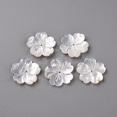 Natural White Shell Mother of Pearl Shell Beads X-SSHEL-R144-10-1