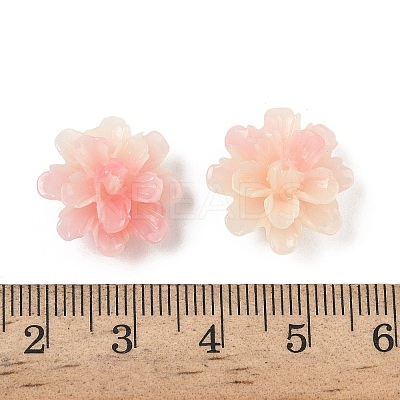 Synthetic Shell Dyed Beads SHEL-C006-01D-1