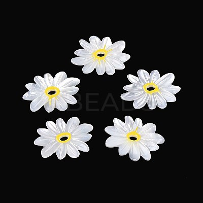 Natural White Shell Pendants SHEL-T020-66-1