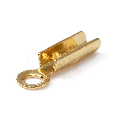 316 Surgical Stainless Steel Folding Crimp Ends FIND-WH0045-45A-1