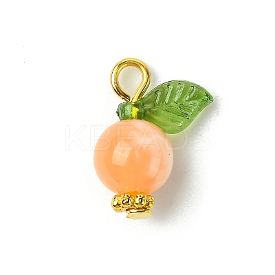 Acrylic Pendants PALLOY-JF02615-04-1