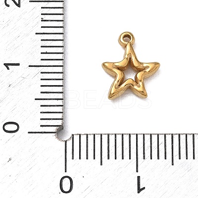 304 Stainless Steel Charms SA-B007-02G-C-1