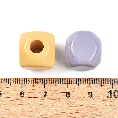 Opaque Acrylic European Large Hole Beads OACR-I015-65-1
