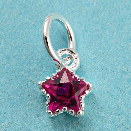 925 Sterling Silver Charms STER-G035-01C-01-1