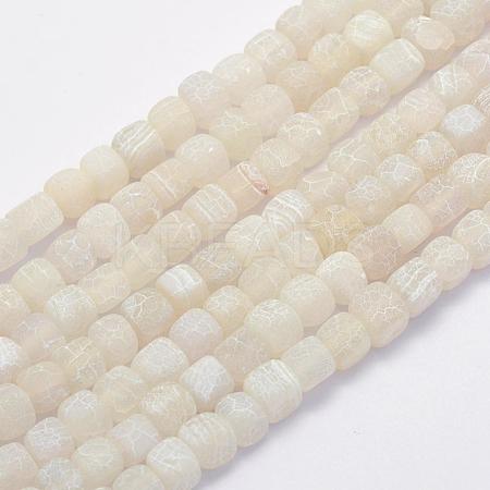 Natural Weathered Agate Beads Strands G-G705-10mm-04-1