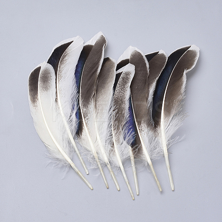 Feather Costume Accessories LS-X-FIND-Q046-15F-1