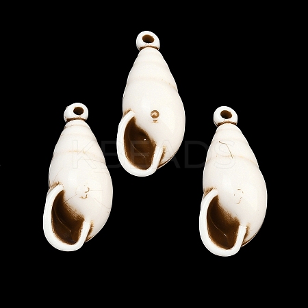 Spray Painted Opaque Acrylic Pendants ACRP-F003-03S-1
