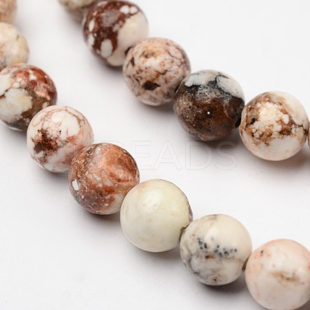Natural Magnesite Beads Strands TURQ-P027-22-12mm-1