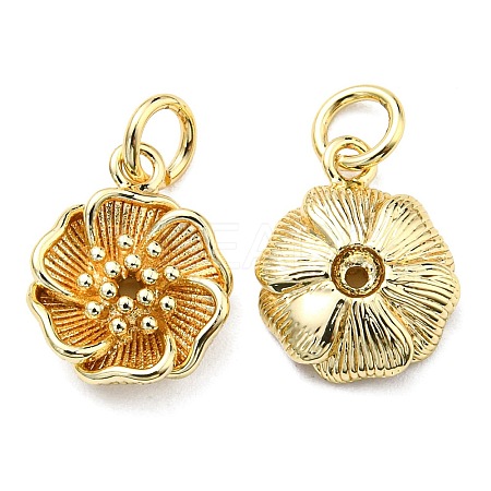 Rack Plating Brass Charms KK-D026-22G-1