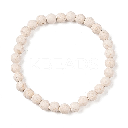 Natural Fossil Round Beaded Stretch Bracelets G-U005-01A-01-1
