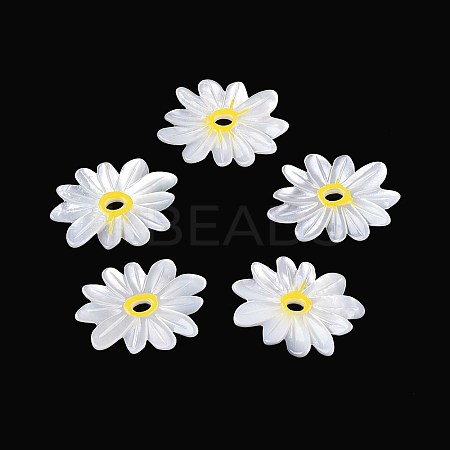 Natural White Shell Pendants SHEL-T020-66-1