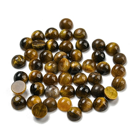 Natural Tiger Eye Cabochons G-H309-03-40-1