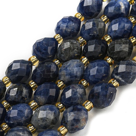 Natural Sodalite Beads Strands G-N342-57-1