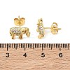 Brass & Crystal Rhinestone Stud Earrings for Women EJEW-G464-04G-02-5