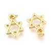 Alloy Charms PALLOY-B024-17G-2