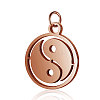 304 Stainless Steel Charms STAS-S105-T521R-1