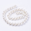 Shell Pearl Beads Strands BSHE-L035-8mm-I13-2