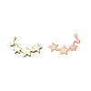 Brass Cabochons MRMJ-L015-08G-2