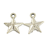 Alloy Star Pendants TIBEP-23849-AS-NR-1