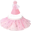 Pet Birthday Supplies Sets DIY-WH20007-287A-7