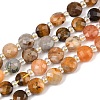 Natural Crazy Agate & Tiger Eye & Red Aventurine & Dyed White Jade & Red Agate Beads Strands G-Z135-B06-2