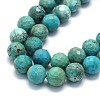 Natural HuBei Turquoise Beads Strands G-G106-C12-08-3