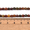 Natural Picasso Stone/Polychrome Jasper Beads Strands G-A260-A24-01-6
