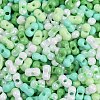 Glass Seed Beads SEED-K010-03H-2