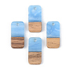 Opaque Resin & Walnut Wood Pendants X-RESI-S389-044A-C01-1