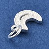 925 Sterling Silver Charms STER-S009-07B-S-2