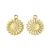 304 Stainless Steel Charms STAS-L269-062G-1