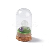 Natural Quartz Crystal Mushroom Display Decoration with Glass Dome Cloche Cover G-E588-03I-2
