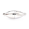 Tarnish Resistant 304 Stainless Steel Magnetic Clasps with Loops LS-STAS-M290-06A-P-1