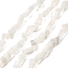 Cat Eye Beads Strands CE-A002-01B-1