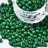 6/0 Glass Seed Beads SEED-S058-A-F280-1