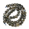 Natural Labradorite Beads Strands G-P544-E01-01-3