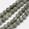 Natural Labradorite Frosted Bead Strands G-O155-04A-8mm-1