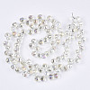 Transparent Glass Beads Strands GLAA-T006-14E-2