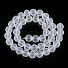Transparent Glass Beads Strands GLAA-T032-T10mm-MD13-3