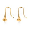 Ion Plating(IP) 304 Stainless Steel Earring Hooks X-STAS-N108-30G-2