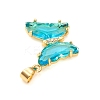 Glass Pendants GLAA-G075-01G-07-2