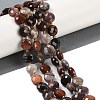 Natural Petrified Wood Beads Strands G-B094-A10-01-1